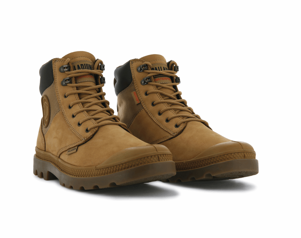 Bouclier Pampa Palladium Wp Lux Ambre Or