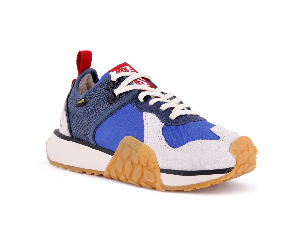 Coureur De Troupe Palladium Indigo Vintage