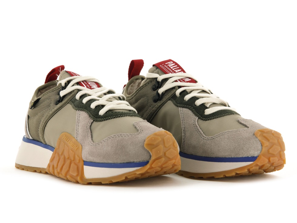 Dune De Coureur De Troupe De Palladium