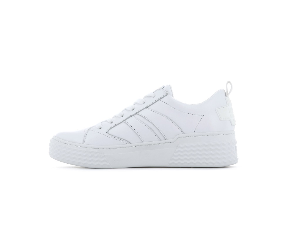 Palladium Blanc Ego 03 Lea
