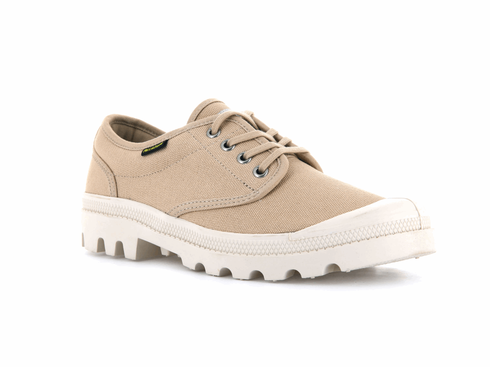 Palladium Homme Pallabrousse Oxford Desert