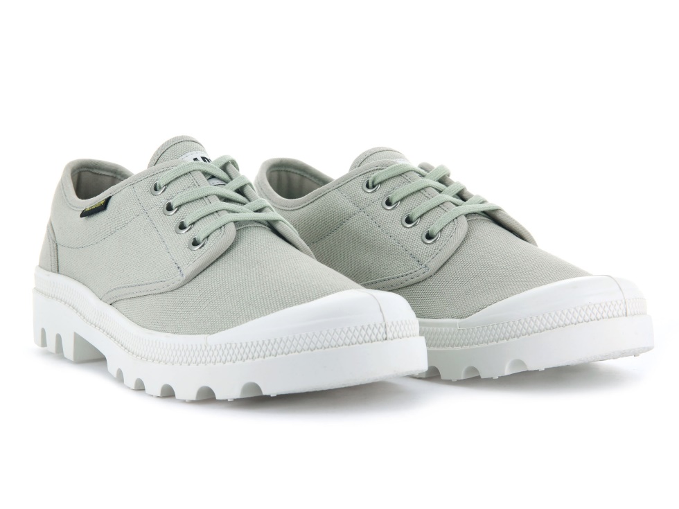 Palladium Homme Pallabrousse Oxford Pierre