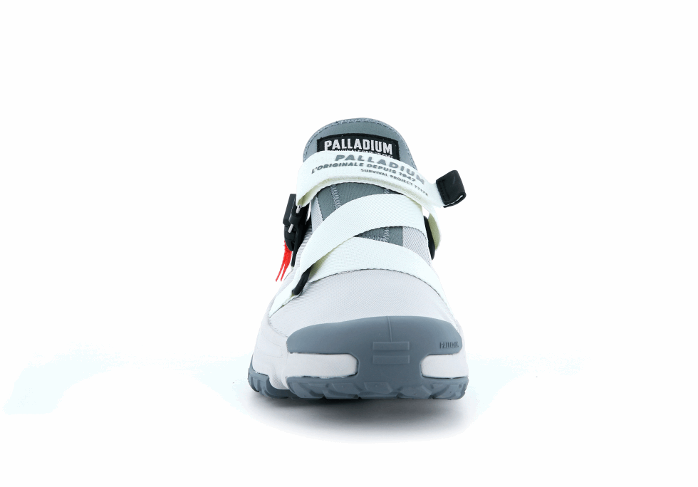 Palladium Hors Réseau Lo Utilitaire Gris Glacier