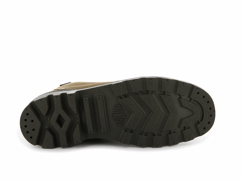 Palladium Pampa Hi Original Butternut Tarmac