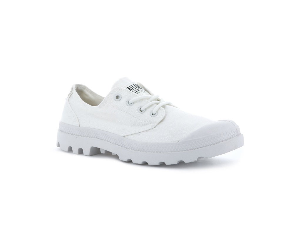 Palladium Pampa Ox Organique étoile Blanc