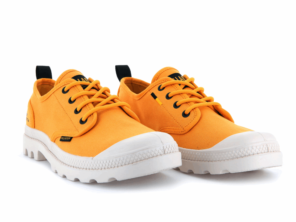 Palladium Pampa Oxford Heritage Supply Moutarde épicée