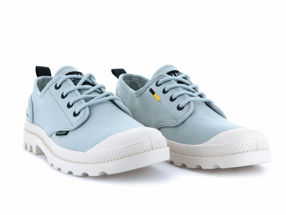 Palladium Pampa Oxford Patrimoine Approvisionnement Bloc Belge