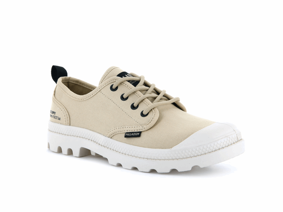 Palladium Pampa Oxford Patrimoine Approvisionnement Désert