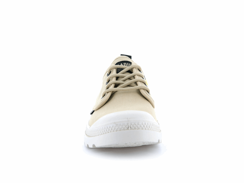 Palladium Pampa Oxford Patrimoine Approvisionnement Désert