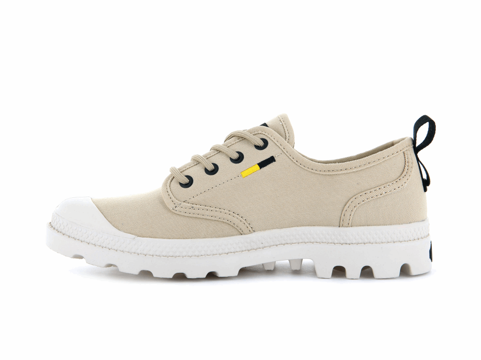 Palladium Pampa Oxford Patrimoine Approvisionnement Désert