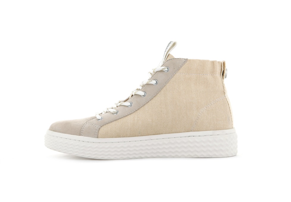 Temps 05 Krt Terre Palladium